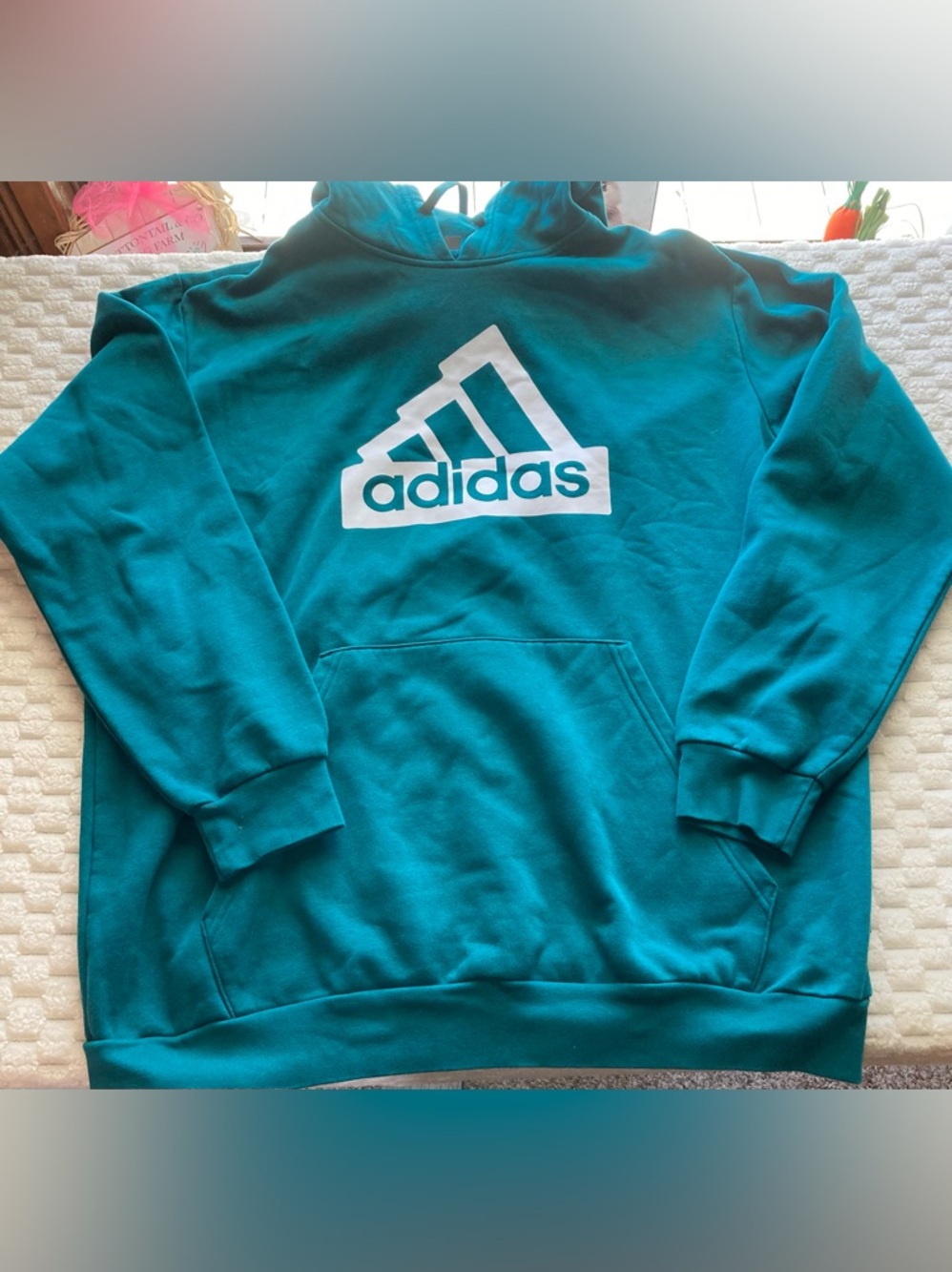 adidas Teal Green Pullover Hoodie with White Logo Tag